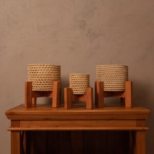 Trio de Cachepo com Suporte de Madeira